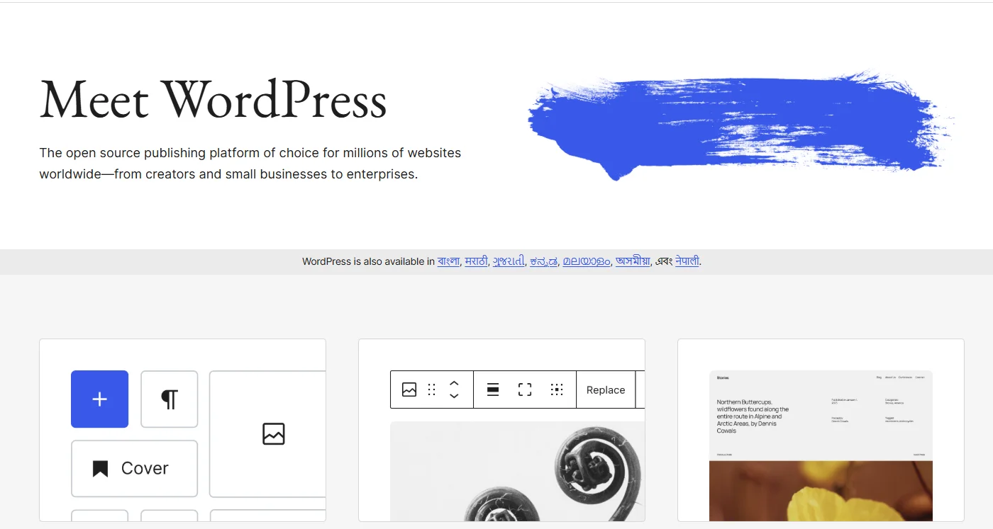WordPress website Builder