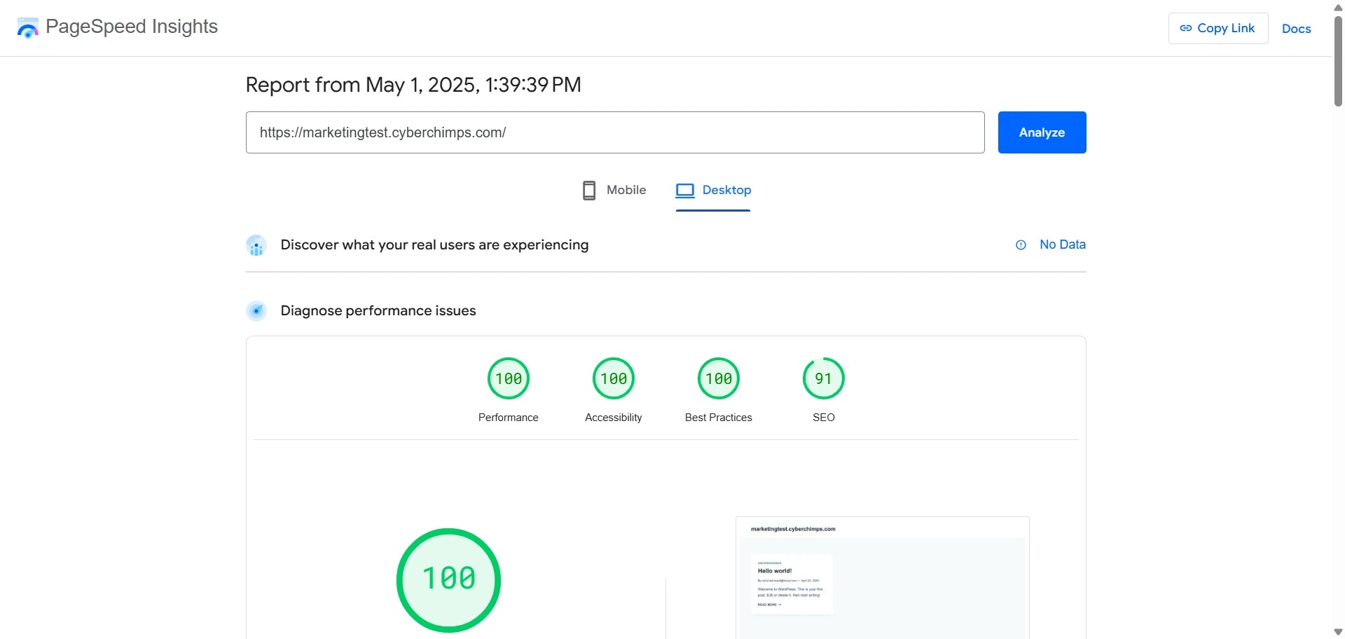 pagespeed insights