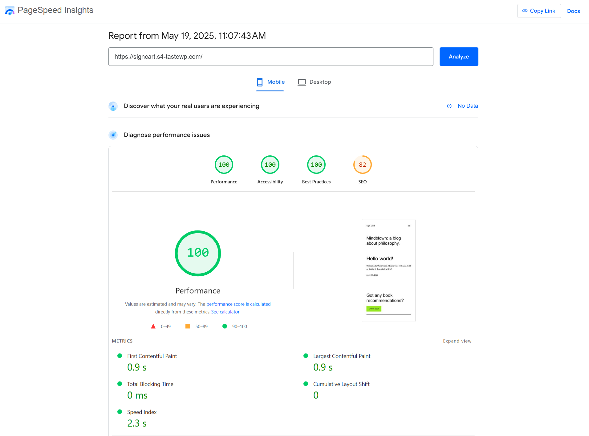 Responsive Theme Performance before website making