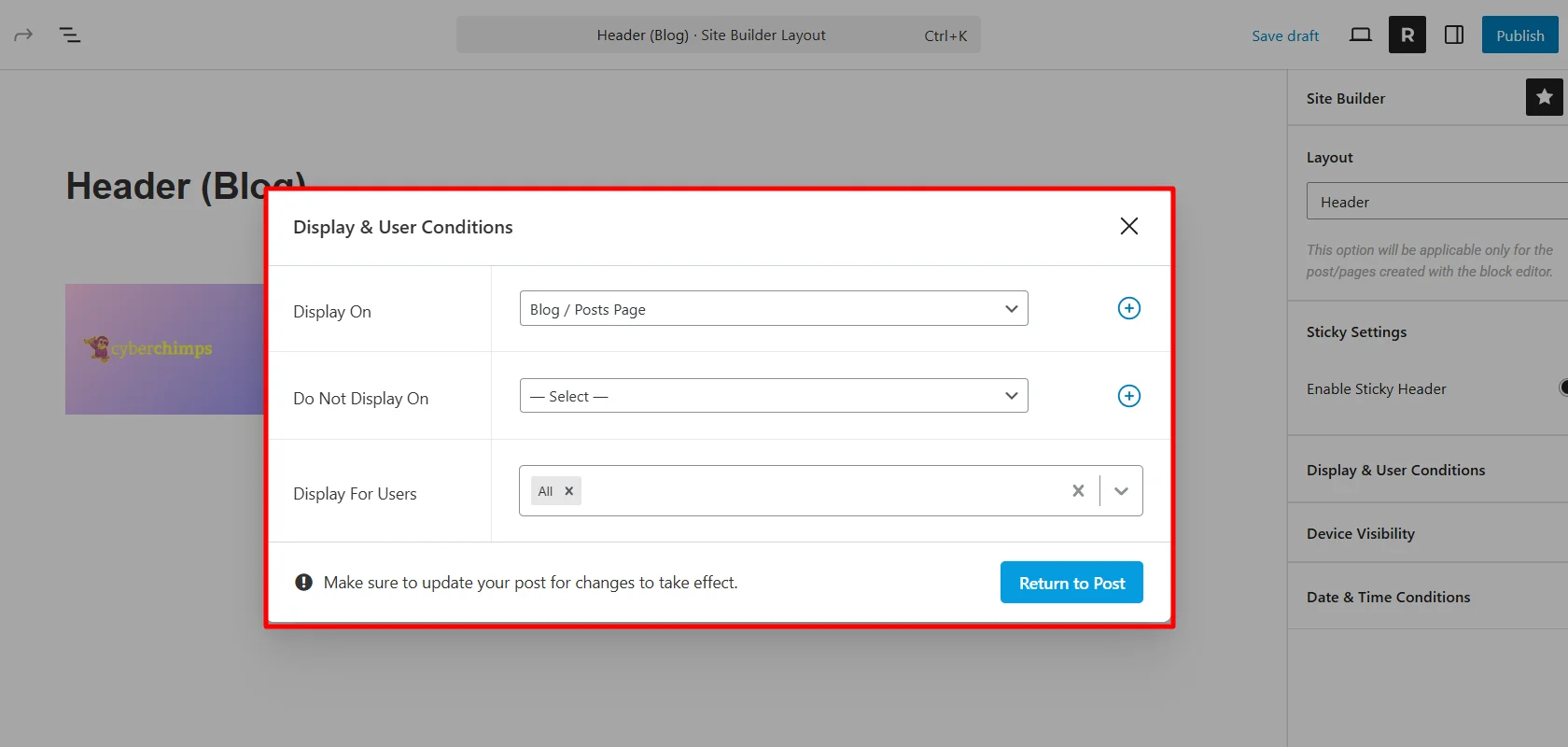 Site builder display conditions