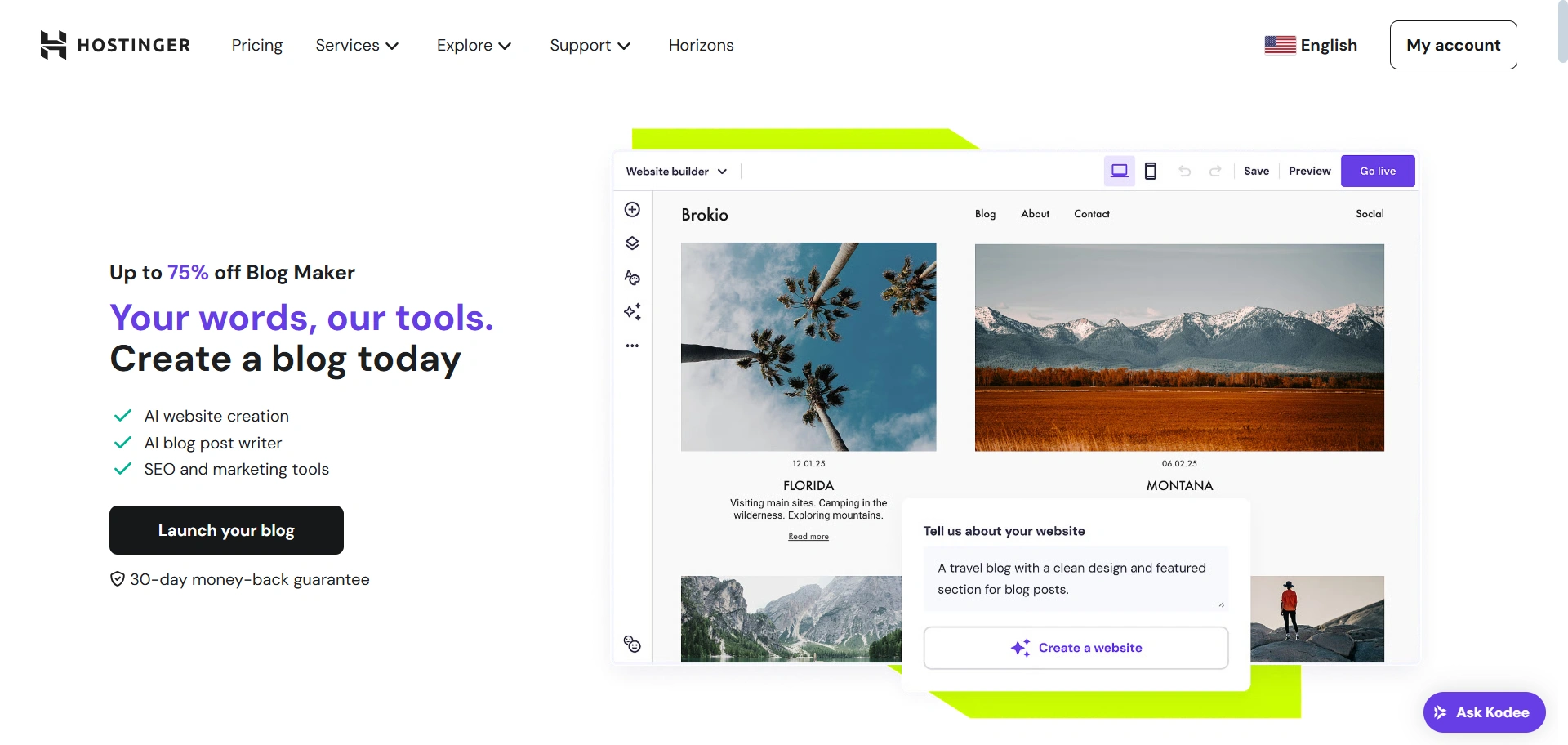 Hostinger blogging platform