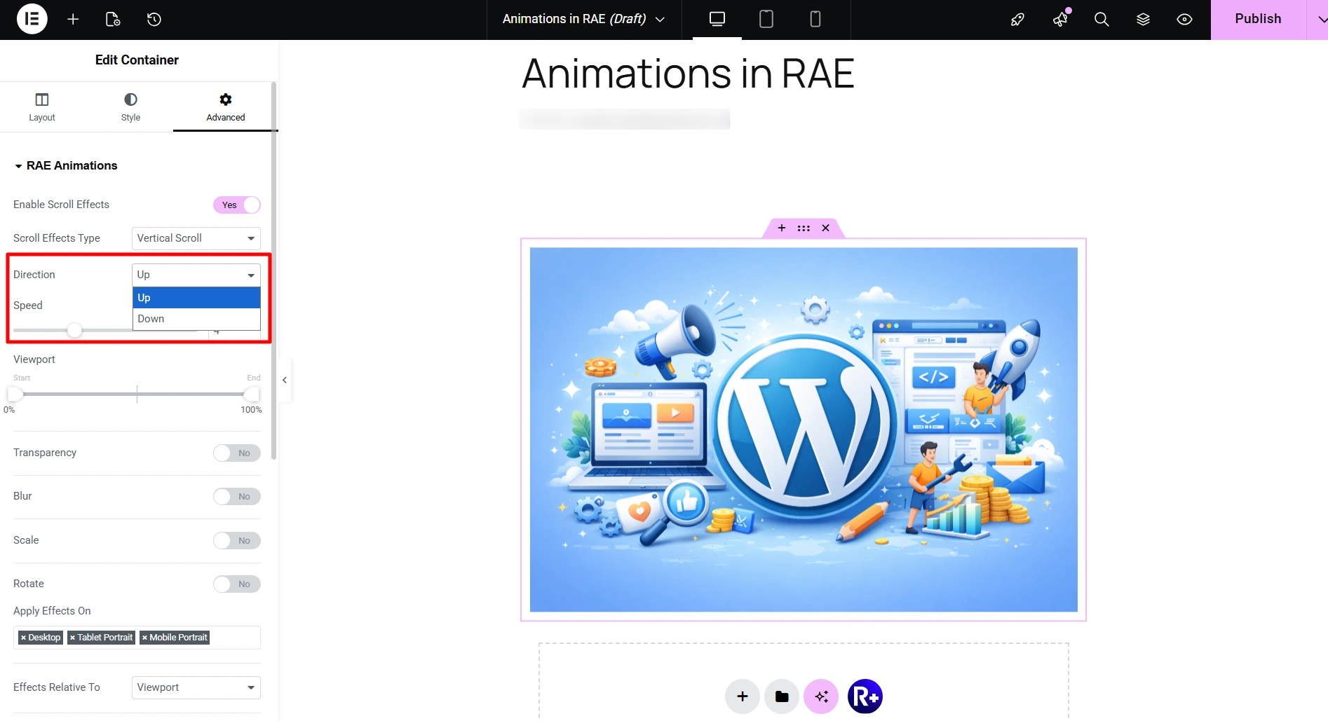 Direction in RAE animations